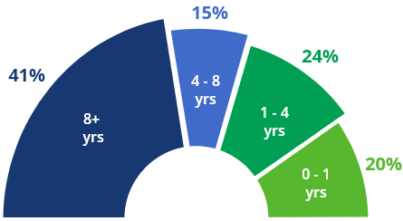 Professioanl Experience